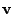 $\mathbf{v}$